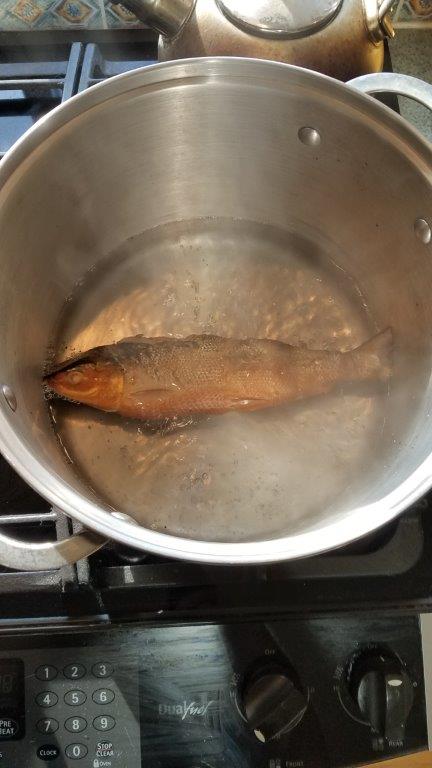 Dried fish being boiled