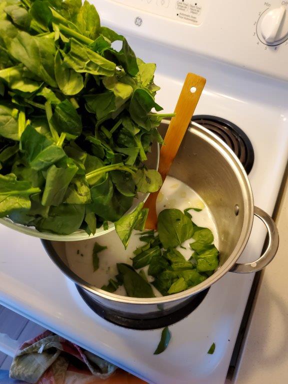 Spinach going into the pot