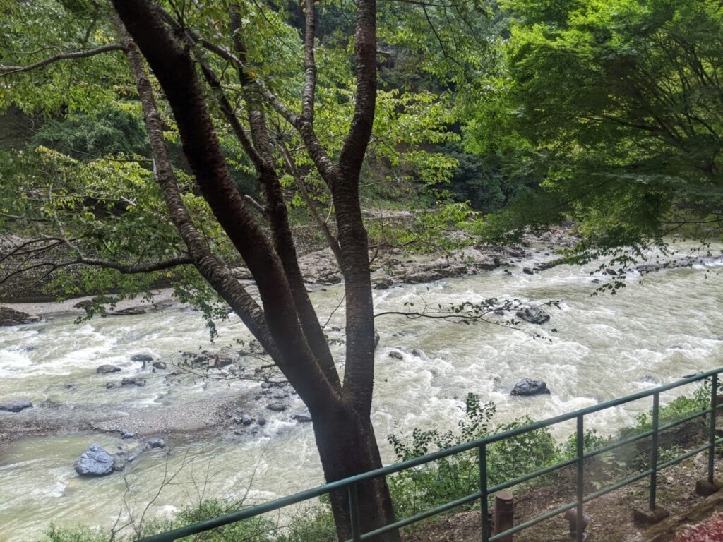 View from train window