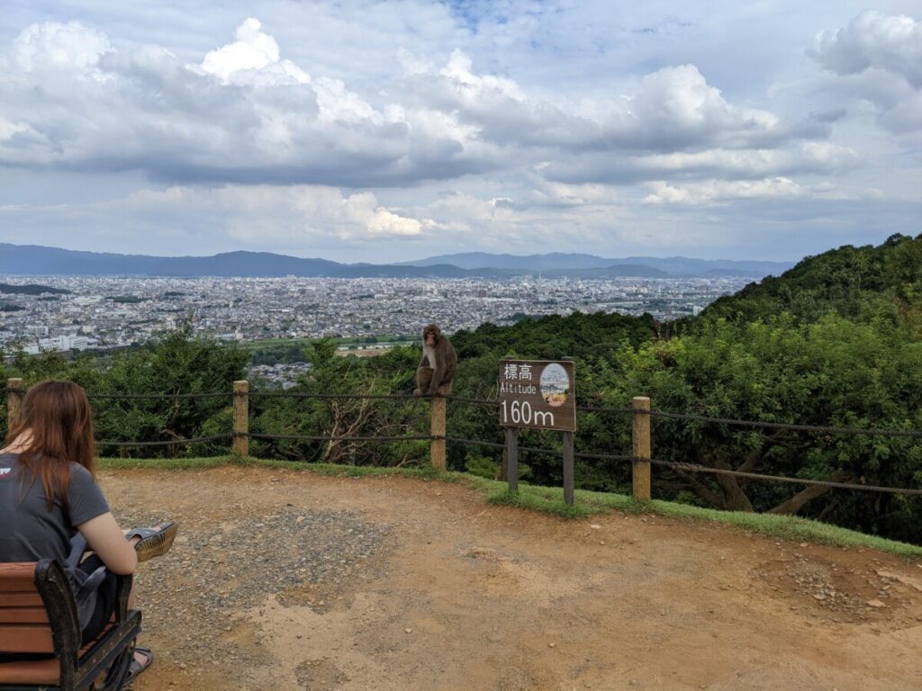 Monkey sitting on post overlooking Kyoto