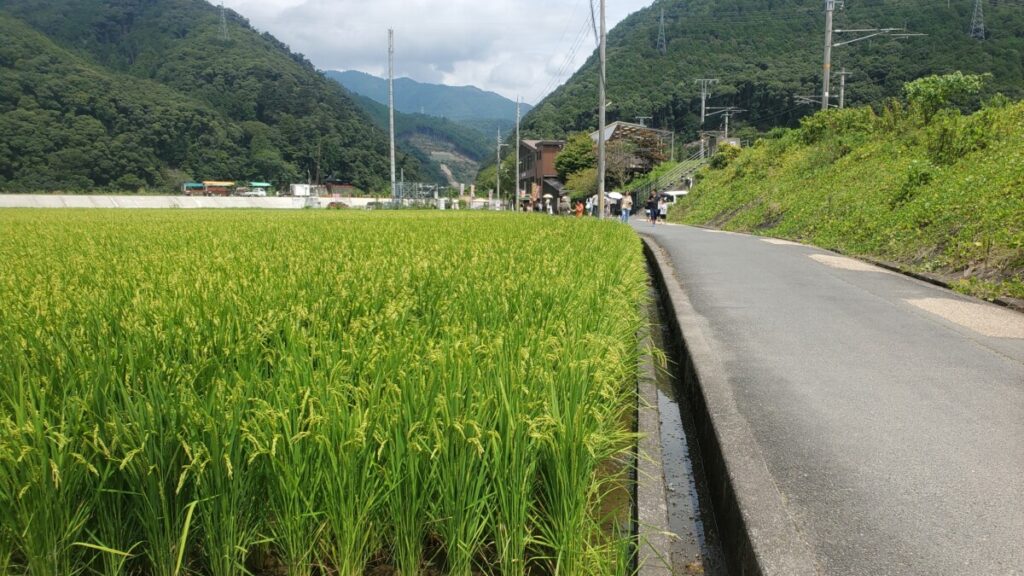 Rural train station