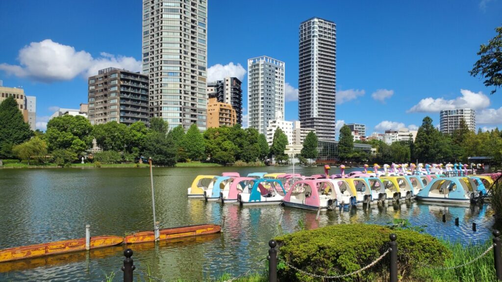 Paddleboats in front of a city skyline