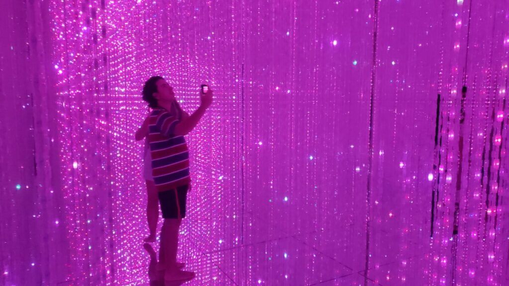 Starfield exhibit.