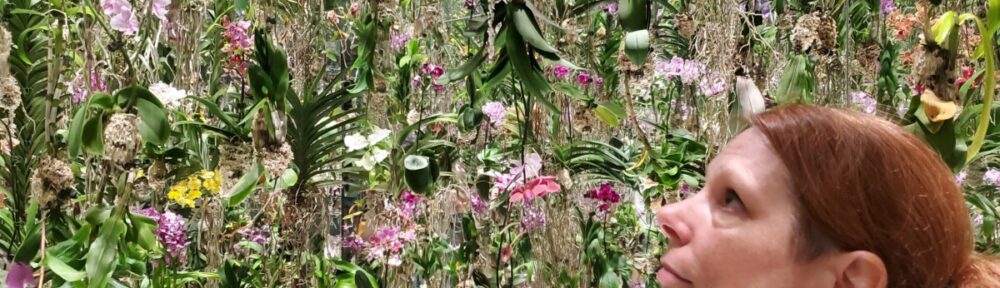 Orchid room