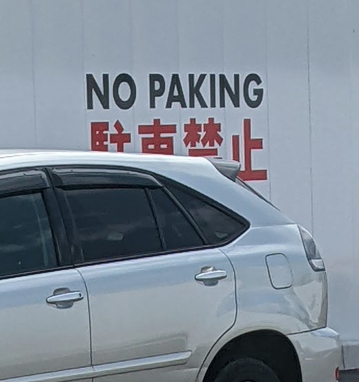 No paking