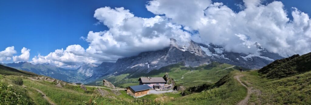 Mannlichen view