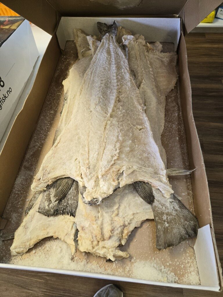 Whole Salted Cod